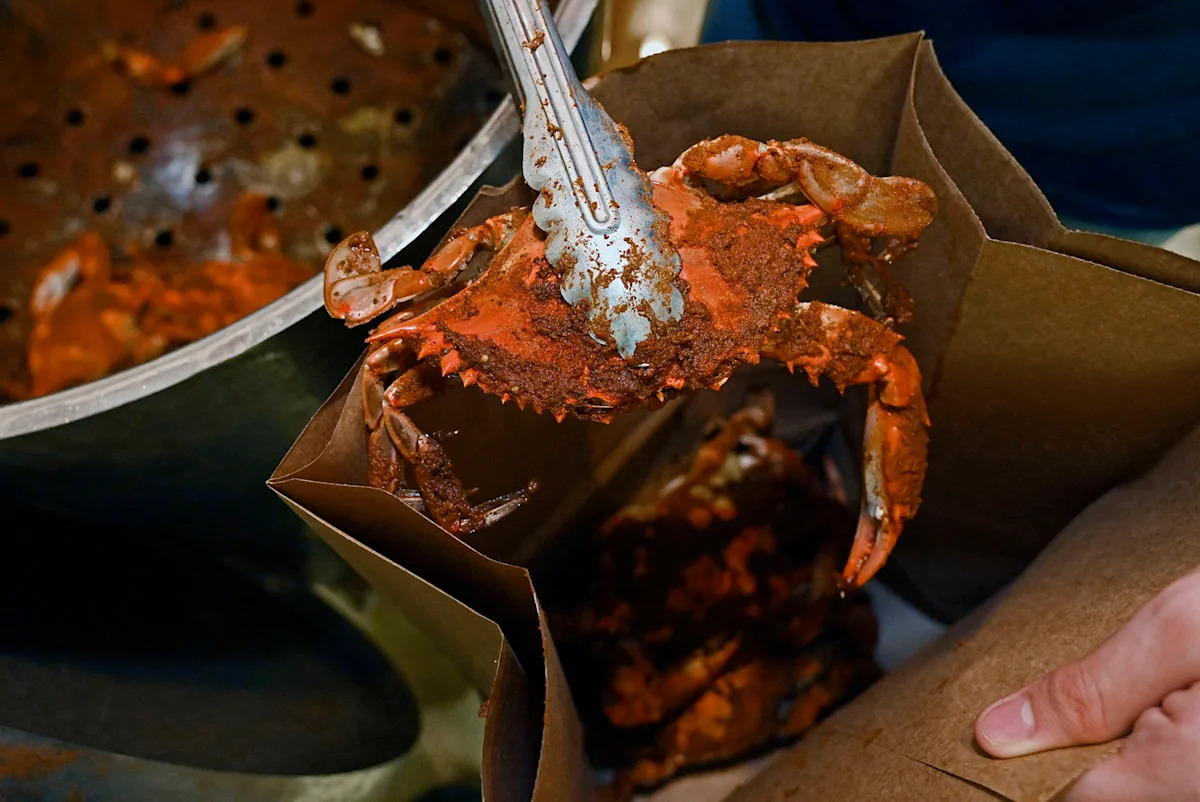 Who eats the most Maryland blue crabs every year? Spoiler: It’s not people.