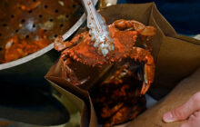 Who eats the most Maryland blue crabs every year? Spoiler: It’s not people.