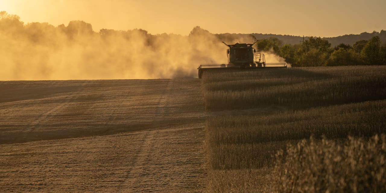 Energy and metals have been hot but a rally for agriculture commodities may now be getting under way, says technical analyst