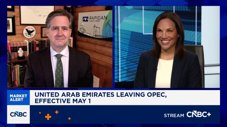 UAE leaving OPEC does not change energy market fundamentals, says RBC's Helima Croft