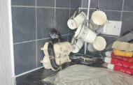 Snake found hiding in boiler by new home owner