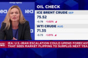 World oil demand set for first annual decline since 2020, IEA says