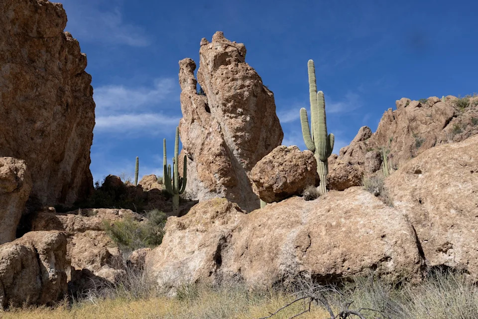 'Flabbergasted': Man living in national park amid 1,000 lbs. of trash, officials say