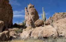 'Flabbergasted': Man living in national park amid 1,000 lbs. of trash, officials say