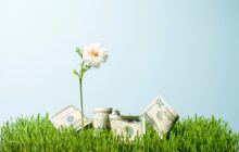 Sustainable Investment Insights - Bi-Annual Report: July 2026