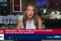 Solar stocks shine after Trump extends China tariffs to polysilicon products