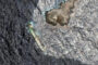 Satellite images show evidence of oil leak spreading from sanctioned vessel near Oman