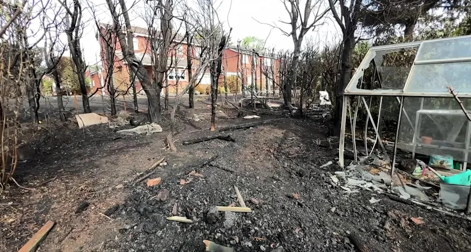 Burnt ground can be seen with a damage greenhouse on the right of the image. Tree stand burnt and dead with unaffected houses visible in the background.