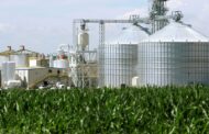 EPA grants 1.76 billion biofuel exemptions, weighs shifting obligations to larger refiners