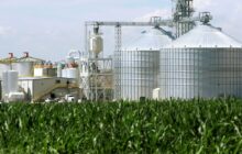 EPA grants 1.76 billion biofuel exemptions, weighs shifting obligations to larger refiners