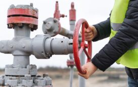 This unique energy stock is a dual threat, offering both income and growth